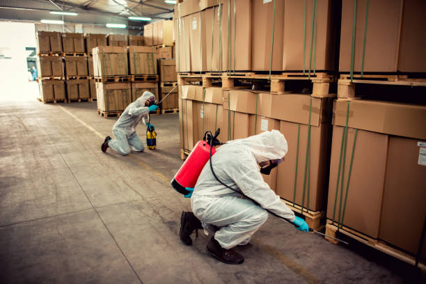 Best Affordable Pest Control Services  in Seaman, OH