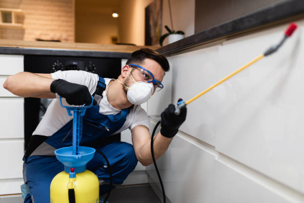 Best Exterminator Services  in Seaman, OH