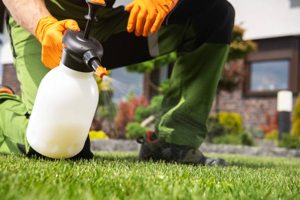 Best Flea Control Services  in Seaman, OH