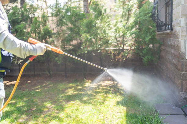 Best Pest Inspection Near Me  in Seaman, OH