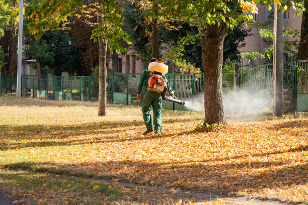 Best Flea Control Services  in Seaman, OH