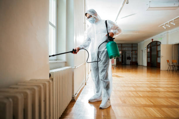 Best Cockroach Control Services  in Seaman, OH