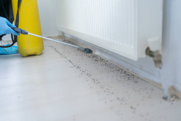 Best Pest Removal Services  in Seaman, OH