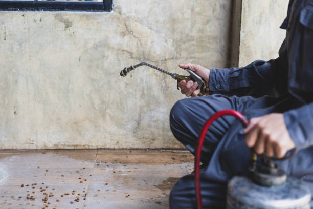 Best Affordable Pest Control Services  in Seaman, OH